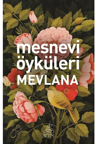 Mesnevi Öyküleri
