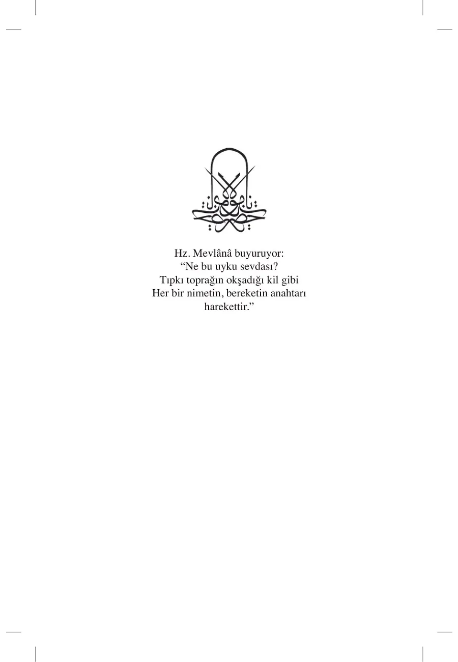 Mevlana Celaleddin Rumi'nin Unutulmuş Mesajı – Sayfa 6