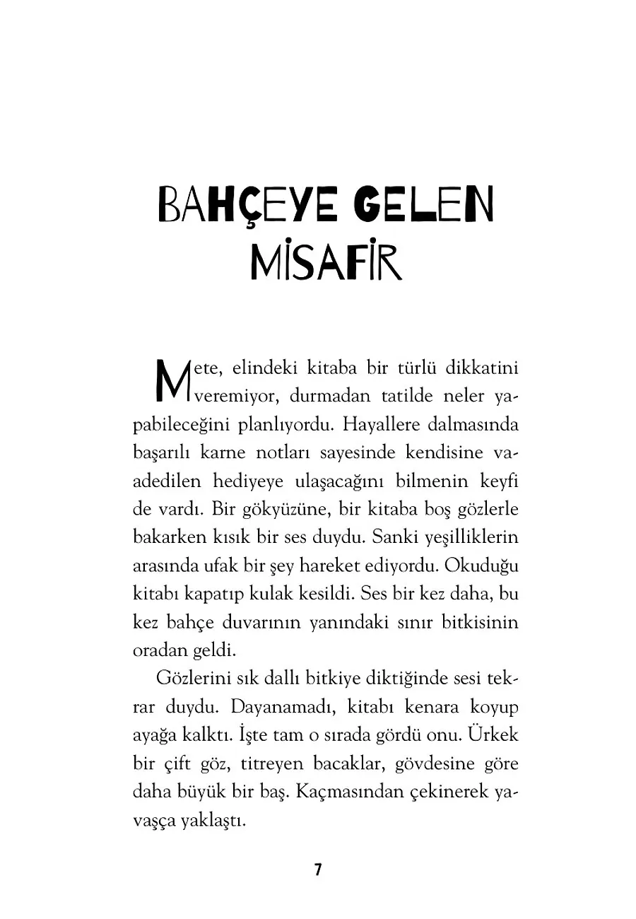 Mavi Gezegende Neler Oluyor? – Sayfa 1