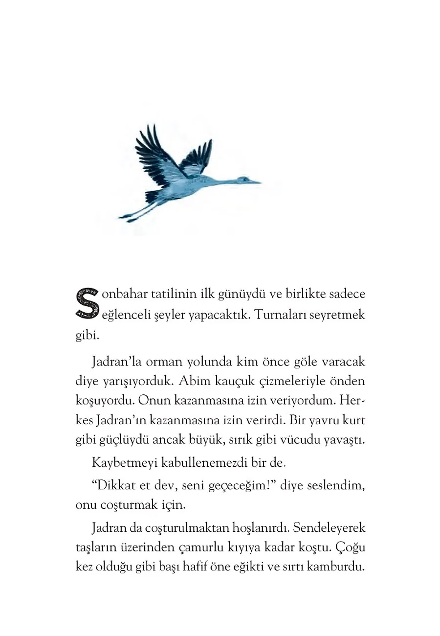 Mavi Kanatlar – Sayfa 4