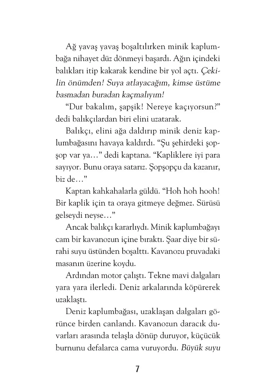 Mavi Yeşil Bir Umut – Sayfa 4