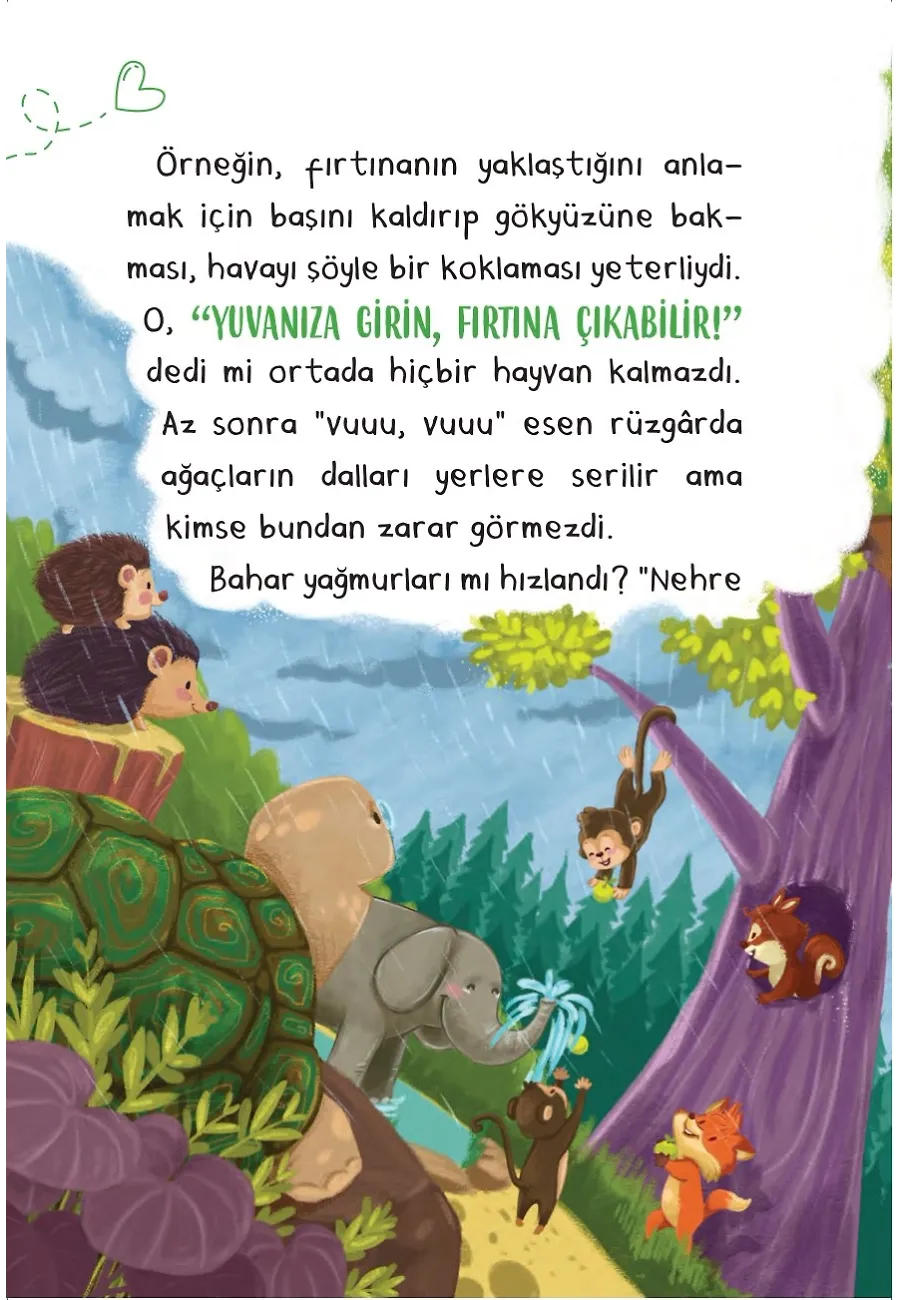 Masalları Kaybolan Bilge Kapi - Bi' Dolu Hikaye – Sayfa 2