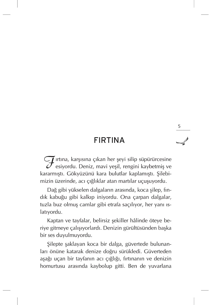Macera Adası – Sayfa 2