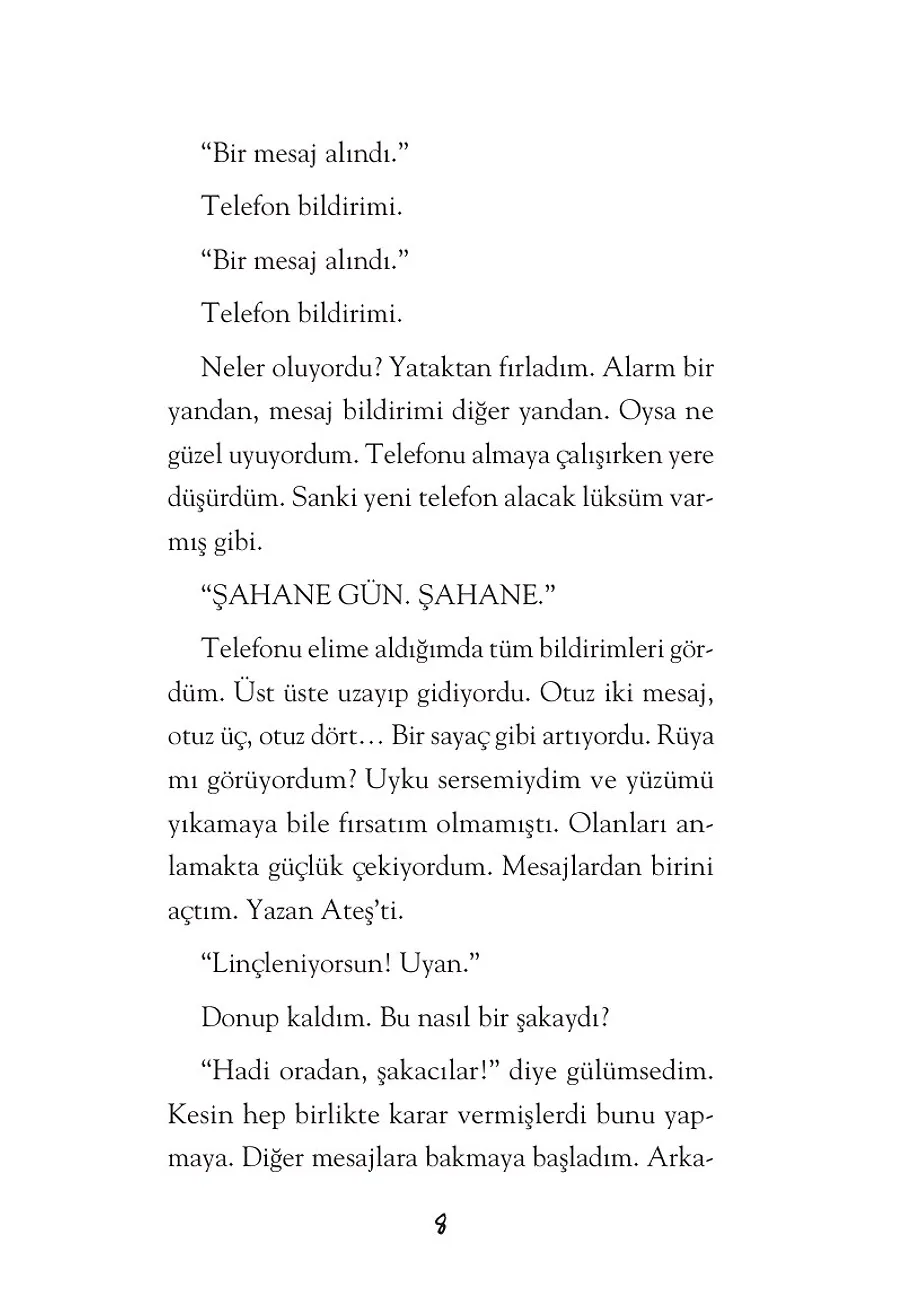 Linç Çıkmazı – Sayfa 2