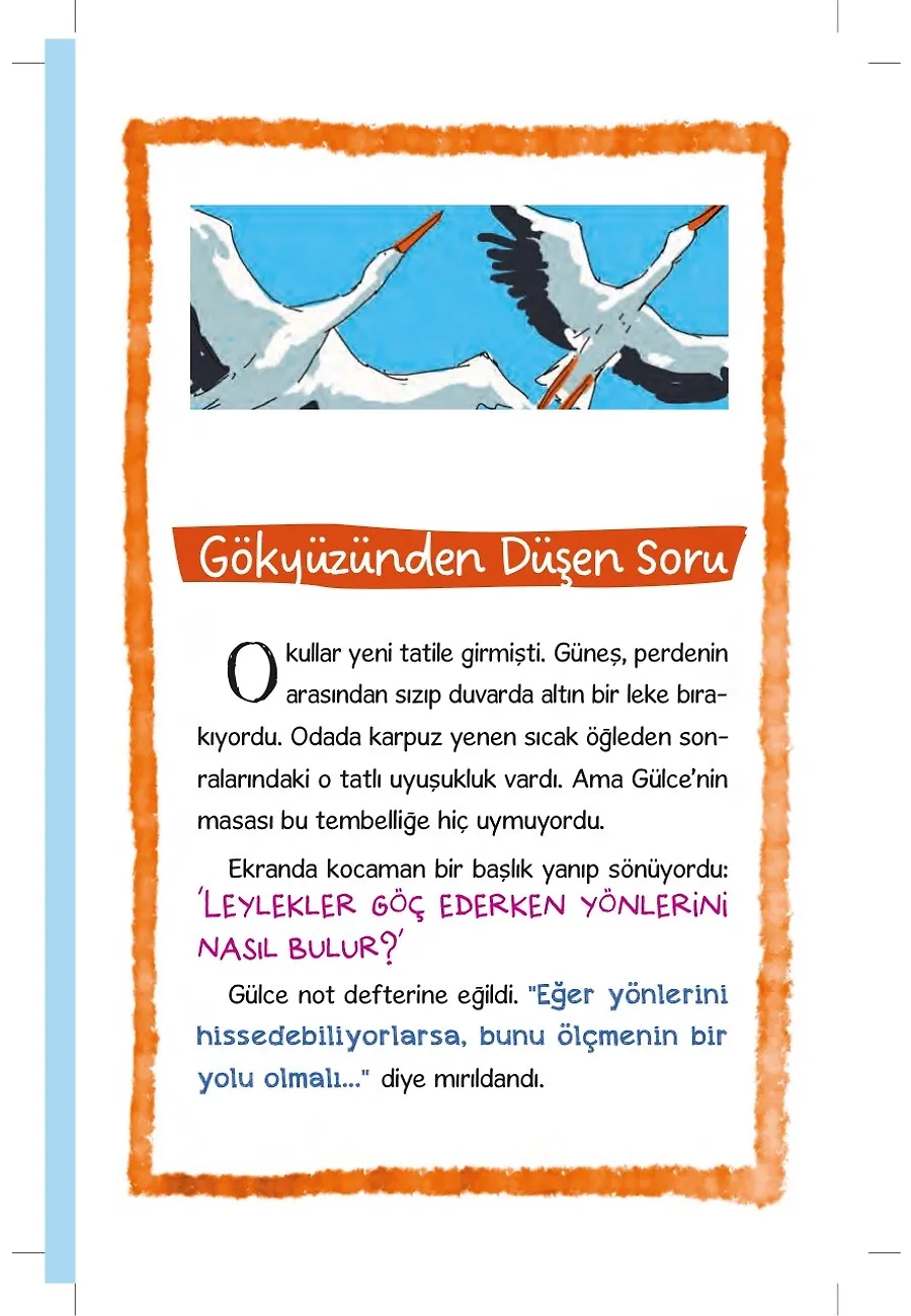 Leylek Köyü – Sayfa 1