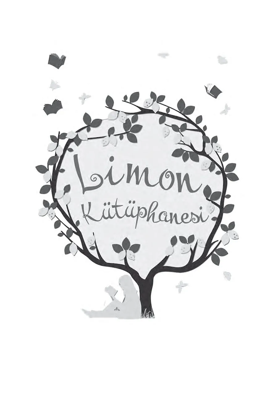 Limon Kütüphanesi (Bez Cilt Şömizli) – Sayfa 2