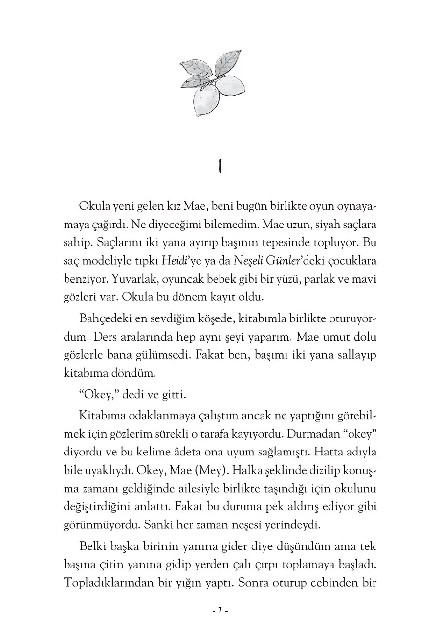 Limon Kütüphanesi (Bez Cilt Şömizli) – Sayfa 4