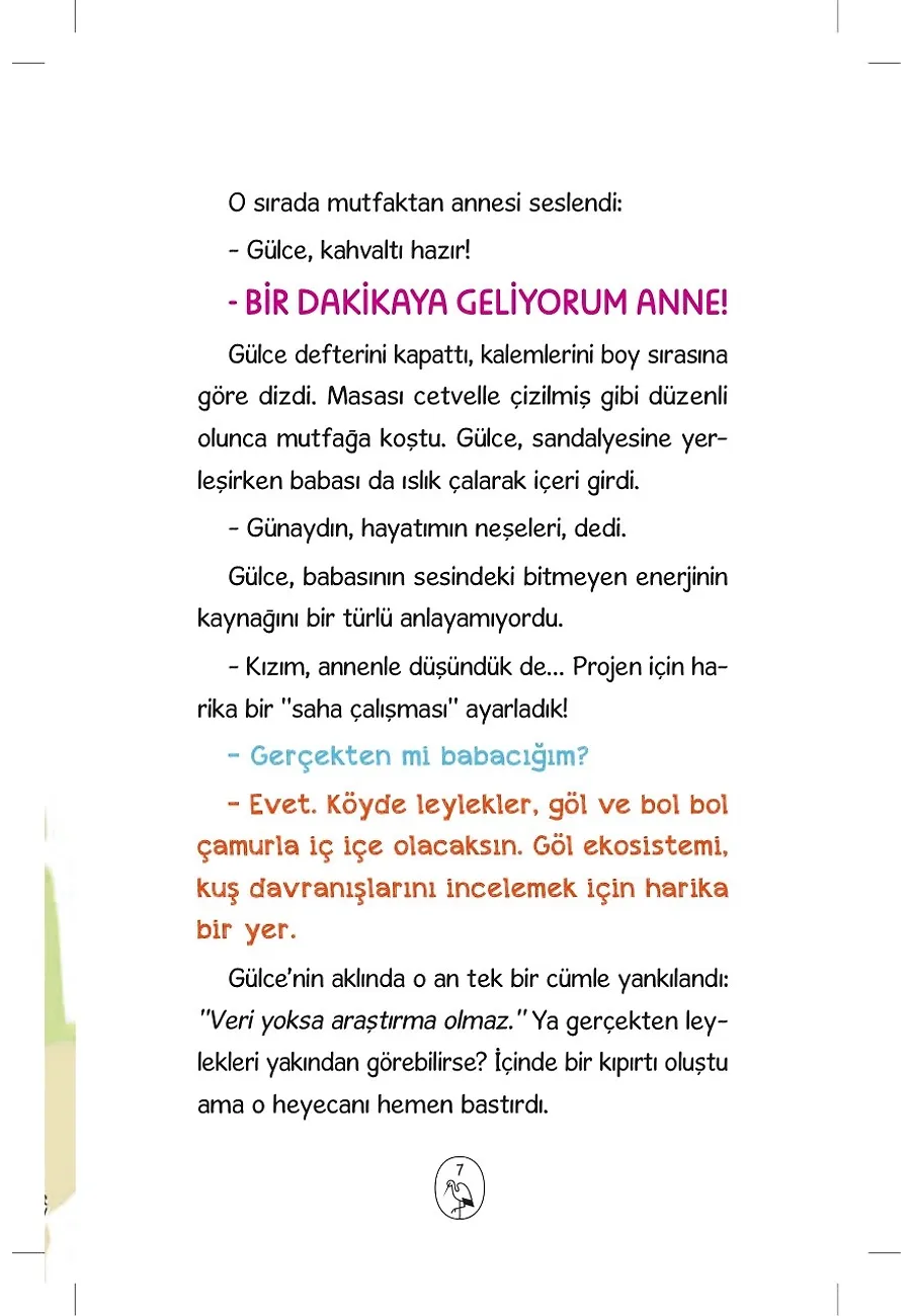 Leylek Köyü – Sayfa 3