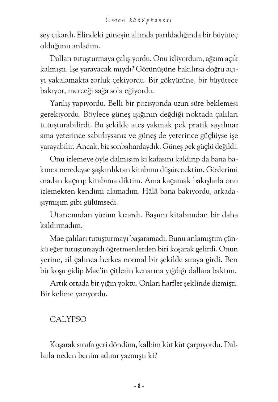 Limon Kütüphanesi (Bez Cilt Şömizli) – Sayfa 5