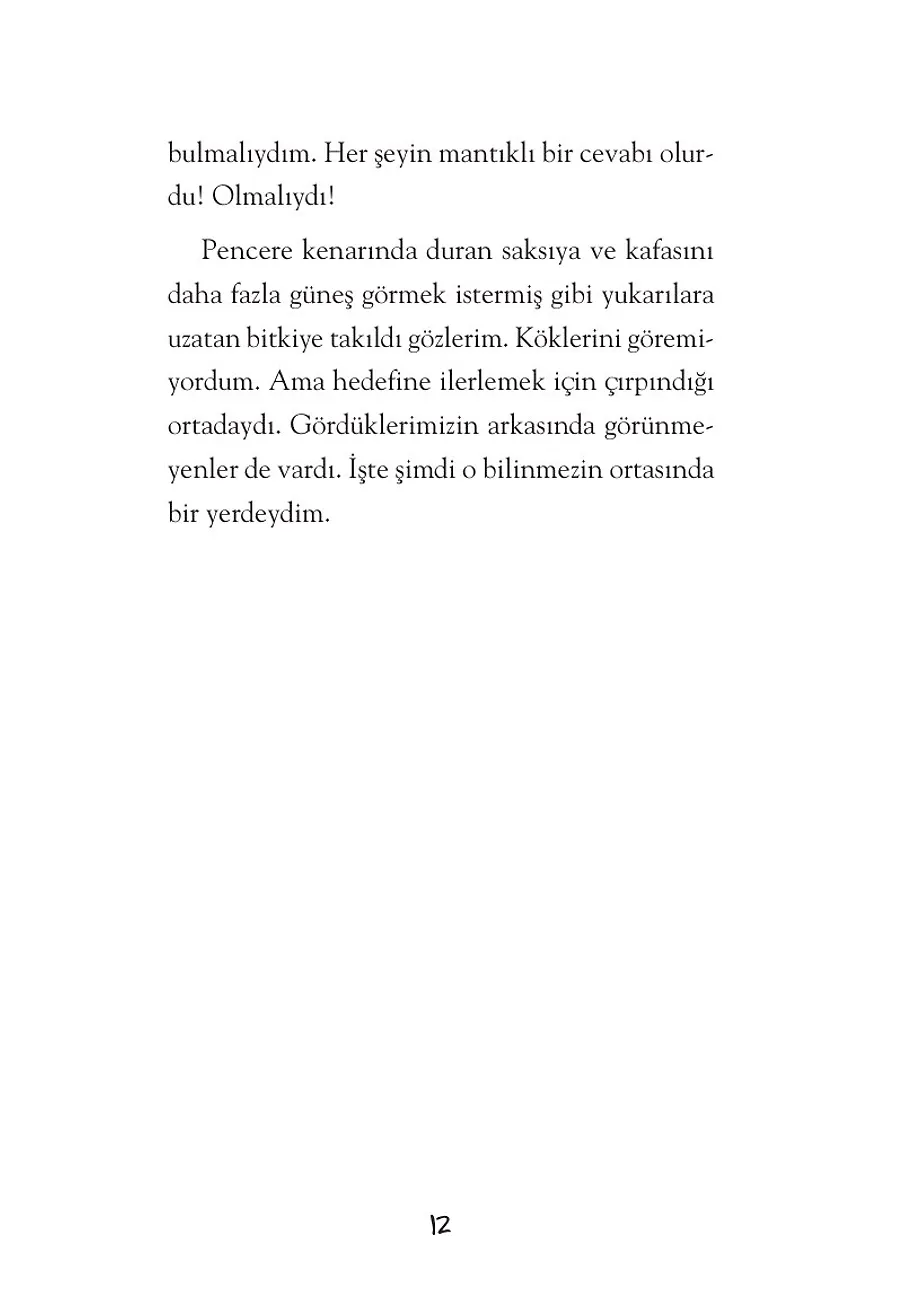 Linç Çıkmazı – Sayfa 6