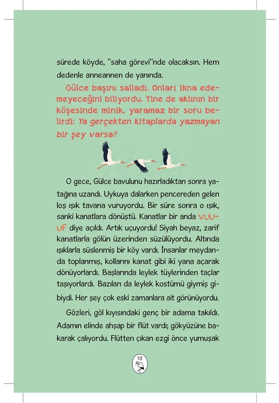 Leylek Köyü – Sayfa 6