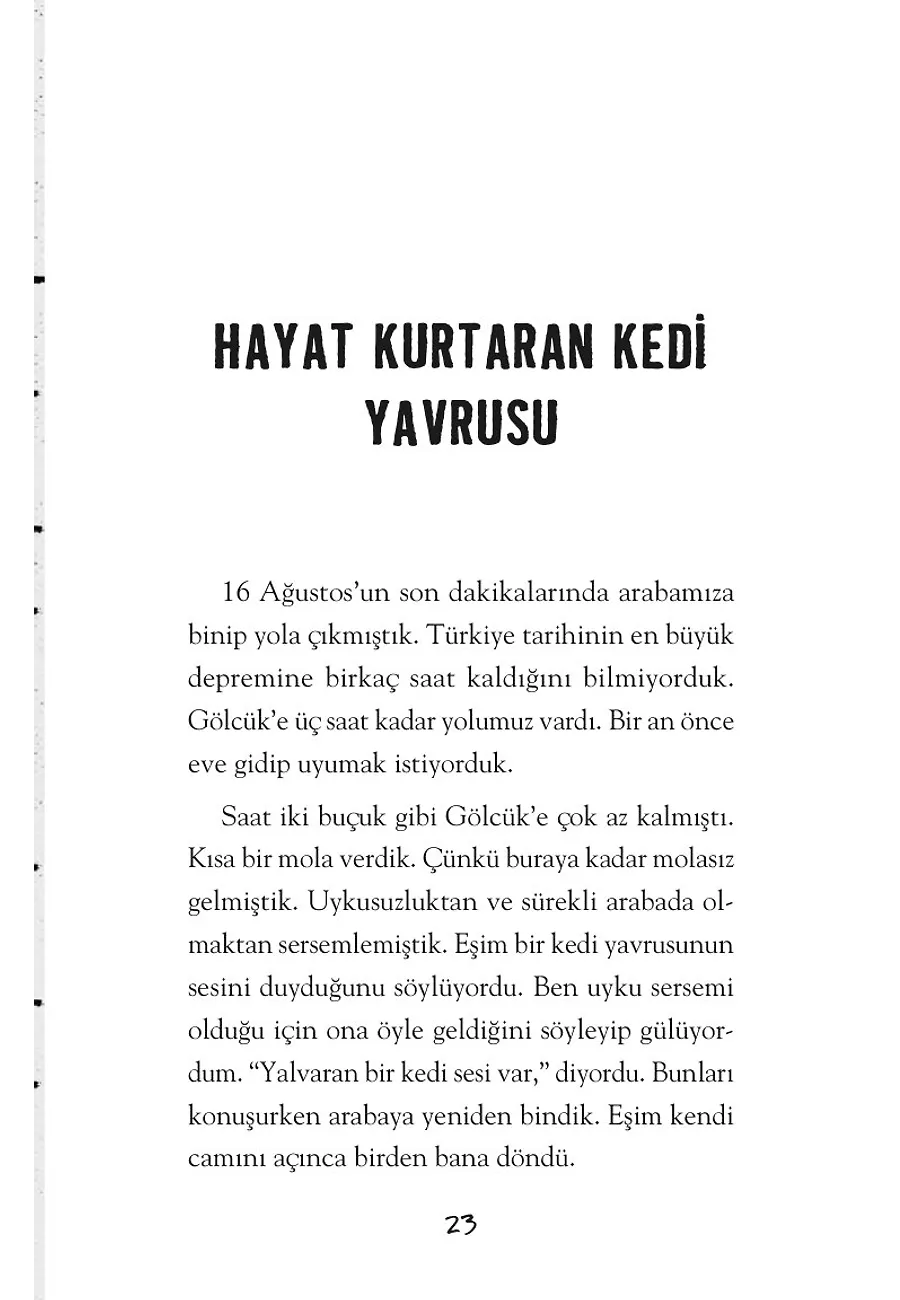 Küçük Prens Hakem Olsun – Sayfa 2