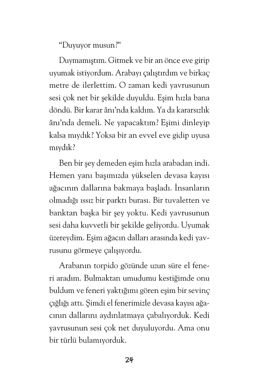 Küçük Prens Hakem Olsun – Sayfa 3