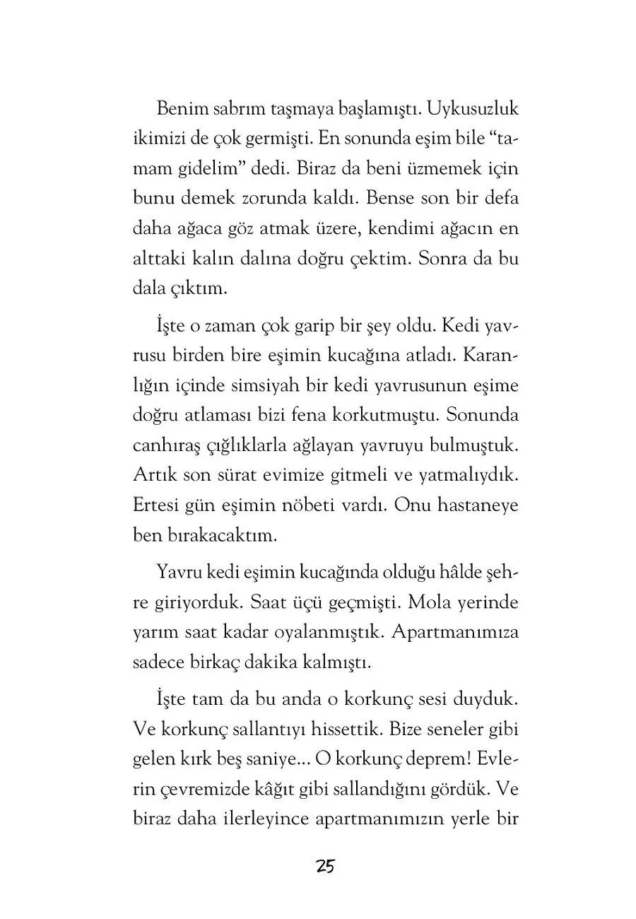 Küçük Prens Hakem Olsun – Sayfa 4