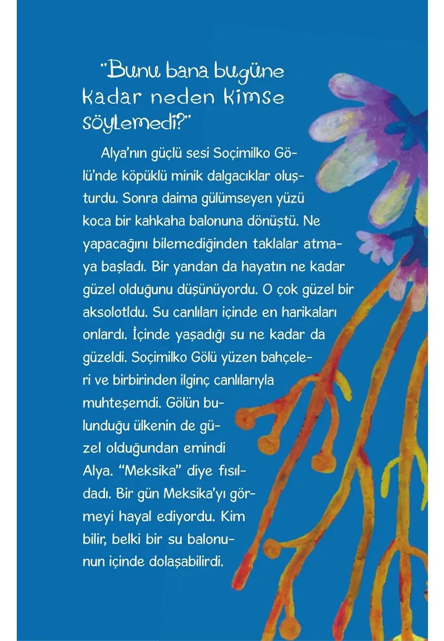 Kuyruklu Bir Mucize – Sayfa 2