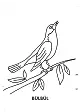 Sayfa 1