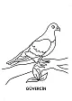 Sayfa 3