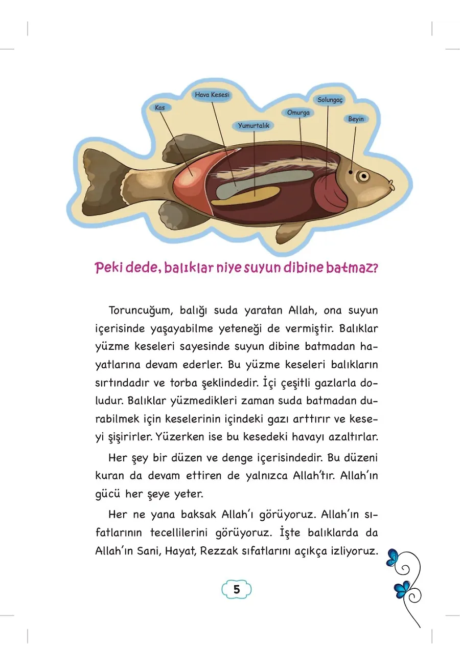 Kuşların Okulu Nerede? - Dedemden Mektuplar – Sayfa 3
