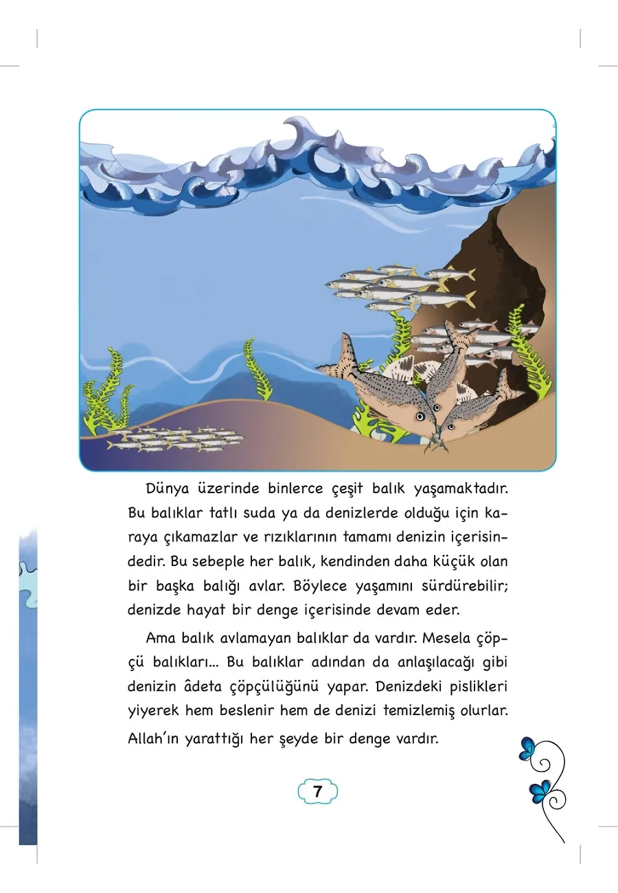 Kuşların Okulu Nerede? - Dedemden Mektuplar – Sayfa 5