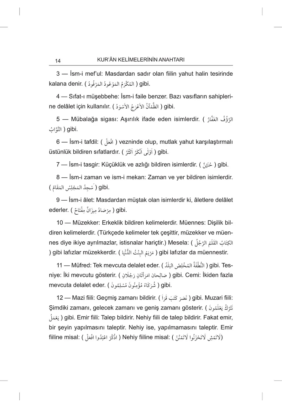 Kur'an-I Kerim Lügati (Ciltli) – Sayfa 6