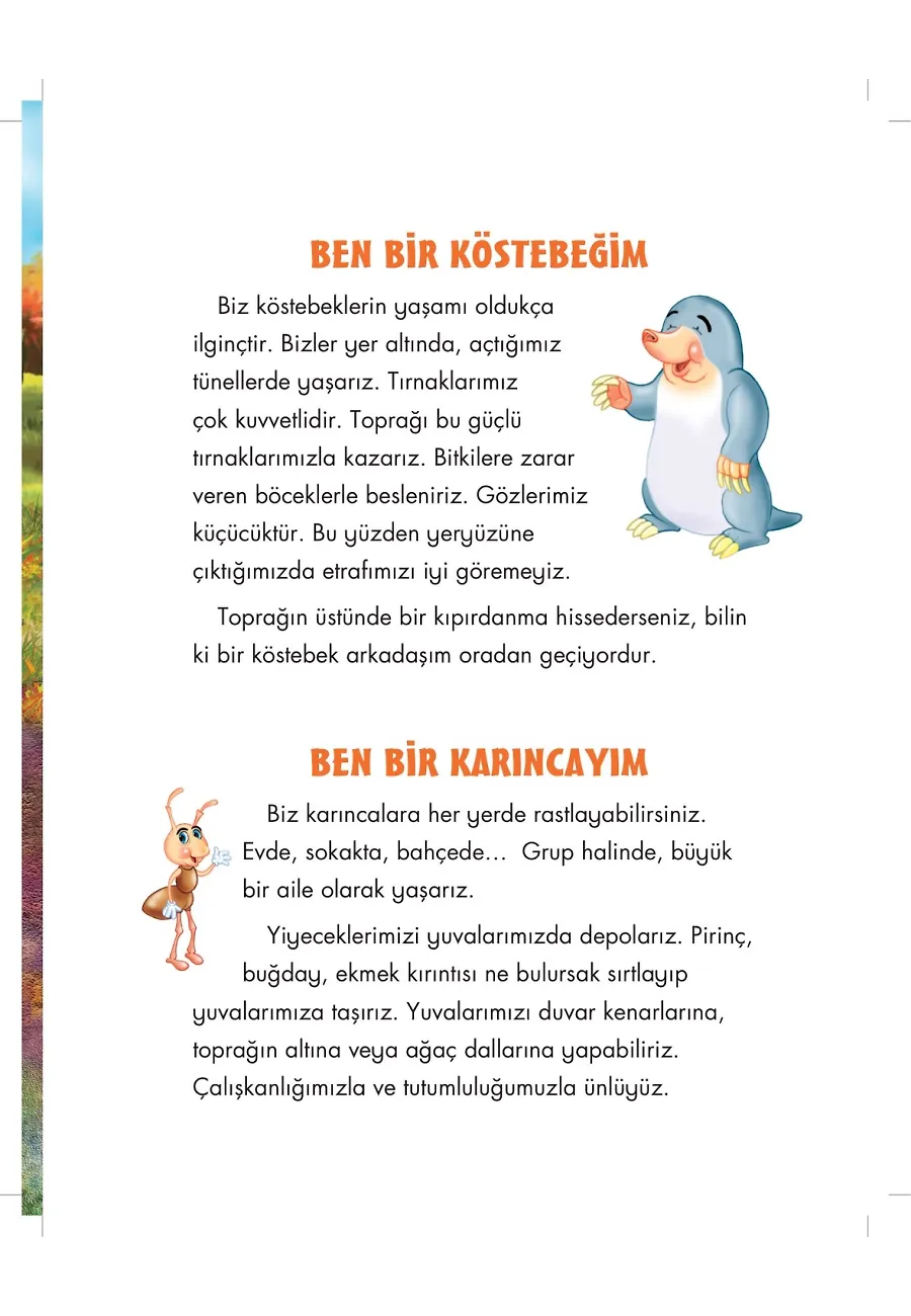 Köstebek Kösti Allah'ın Hafiz İsmini Öğreniyor - Allah'ın İsimlerini Öğreniyorum 2 – Sayfa 2