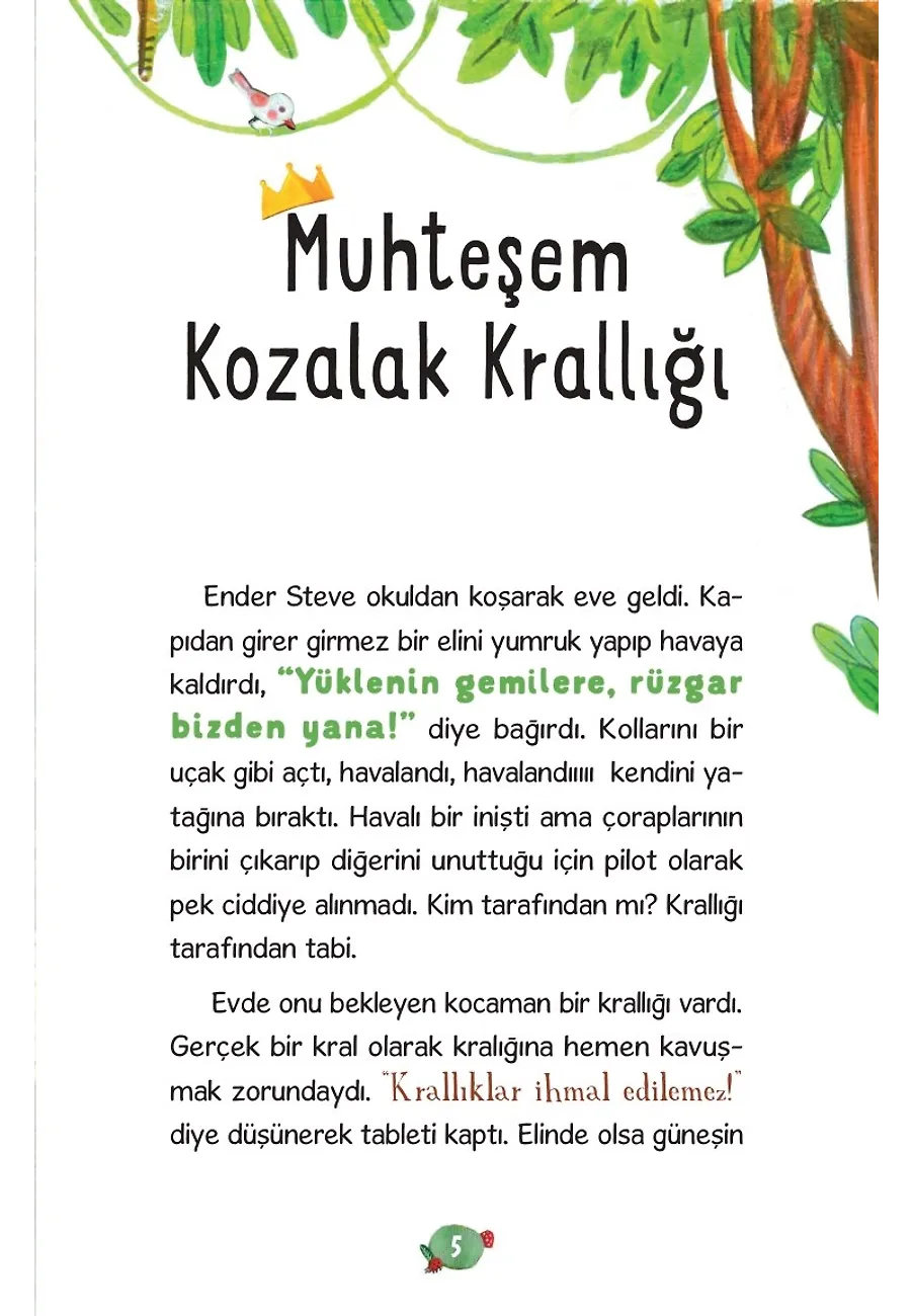 Kozalak Krallığı – Sayfa 1