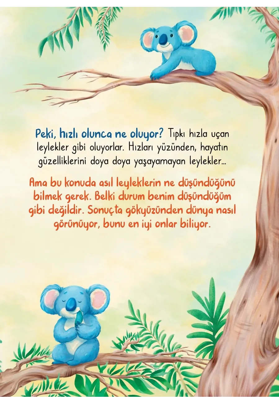 Koala Olmanın Sırrı – Sayfa 4