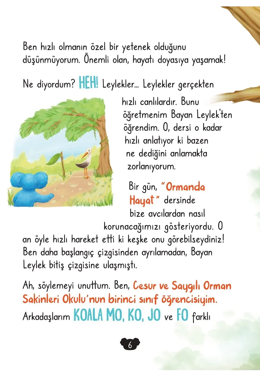 Koala Olmanın Sırrı – Sayfa 5