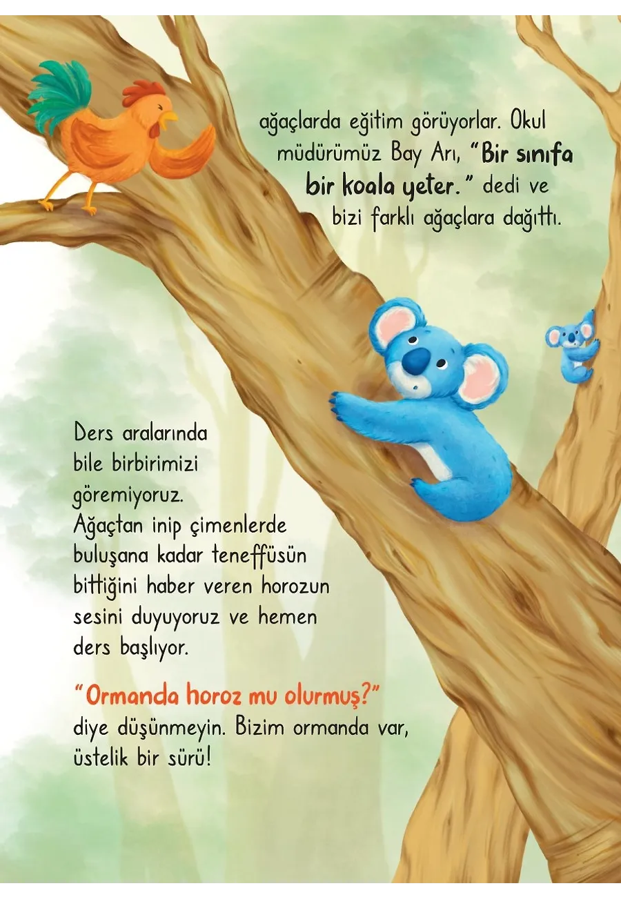 Koala Olmanın Sırrı – Sayfa 6