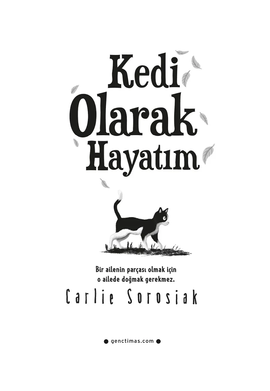 Kedi Olarak Hayatım – Sayfa 1