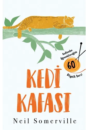 Kedi Kafası