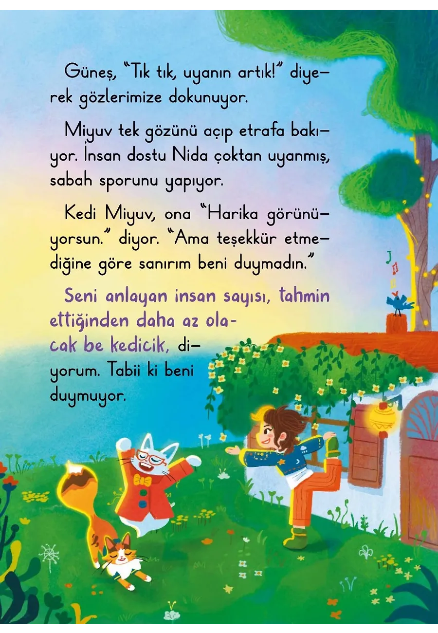 Kedi Koruyucusunun Bir Günü – Sayfa 2