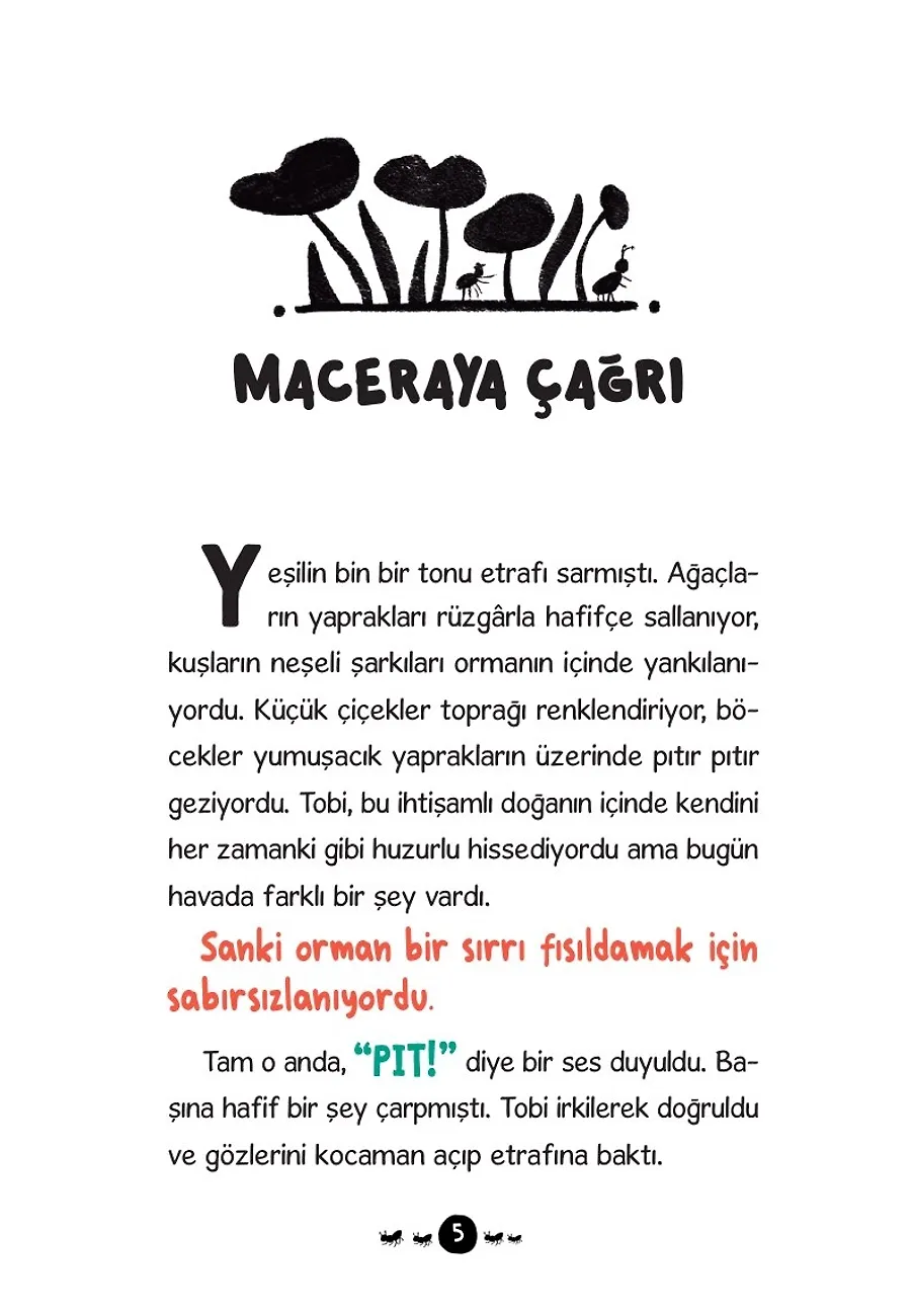 Karınca Tobi Ve Ormandaki Gizemli Işık – Sayfa 1