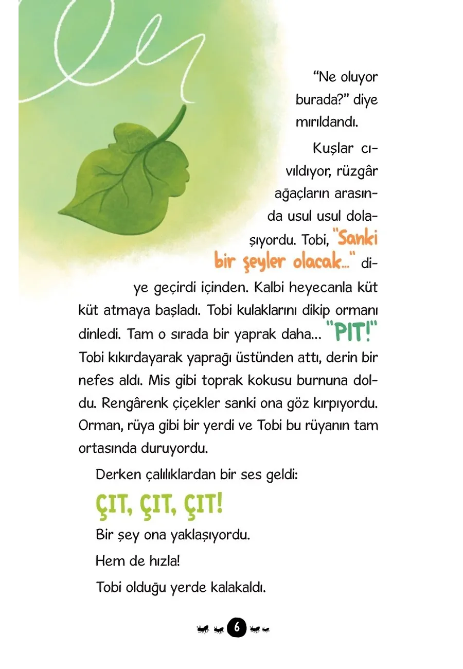 Karınca Tobi Ve Ormandaki Gizemli Işık – Sayfa 2