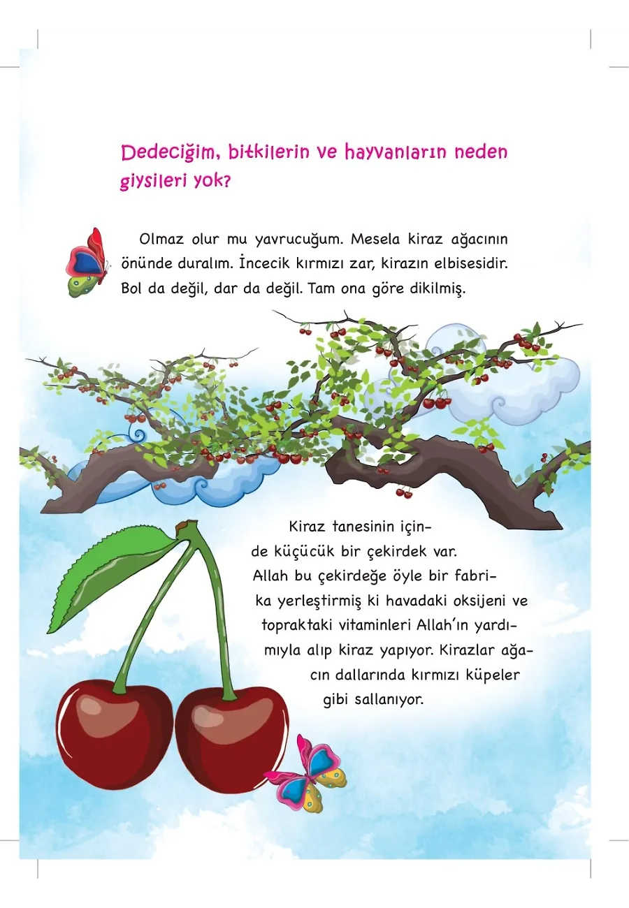 Kardeşim Ne Zaman Büyüyecek? - Dedemden Mektuplar – Sayfa 2