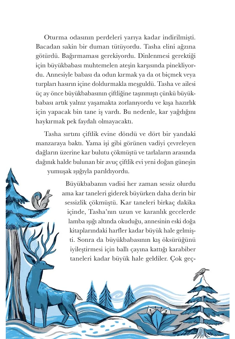Kardan Kız – Sayfa 2