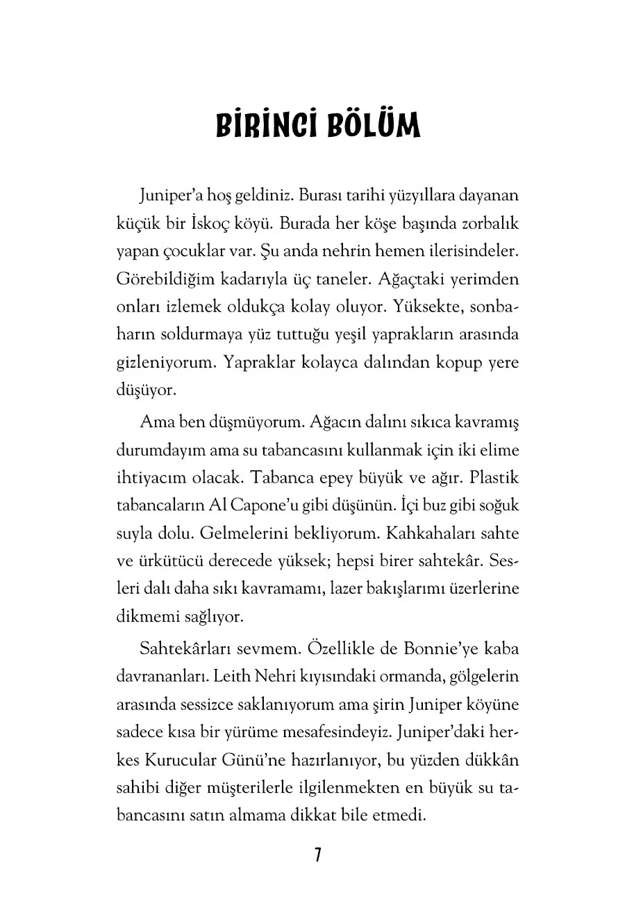 Karanlıkta Yanan Kıvılcım – Sayfa 1