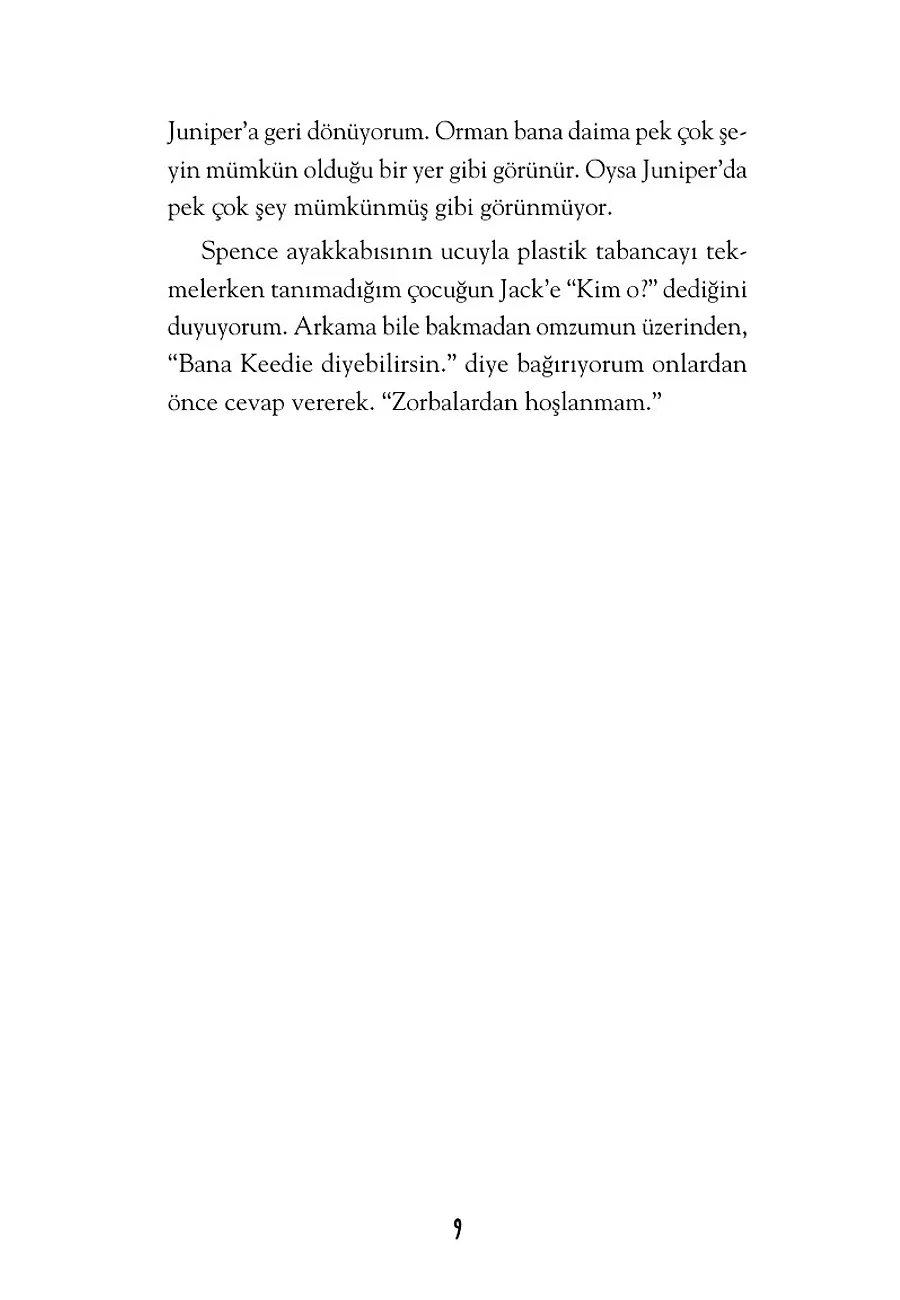 Karanlıkta Yanan Kıvılcım – Sayfa 3