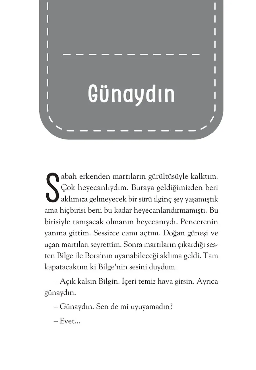 Karaltı Çetesi'nin Peşinde - İstanbul Dedektifleri – Sayfa 3