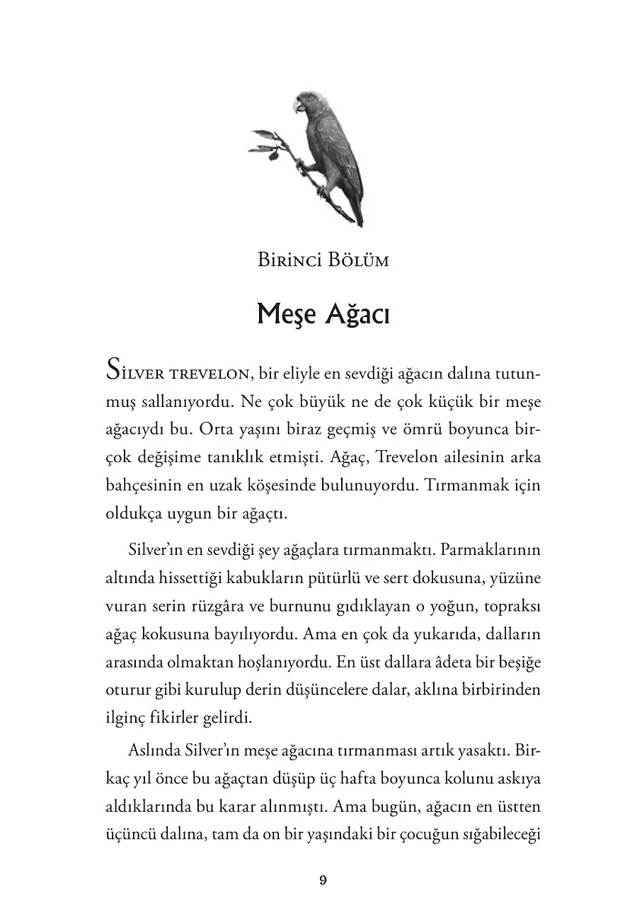 Kaplumbağa Dolunayı – Sayfa 1