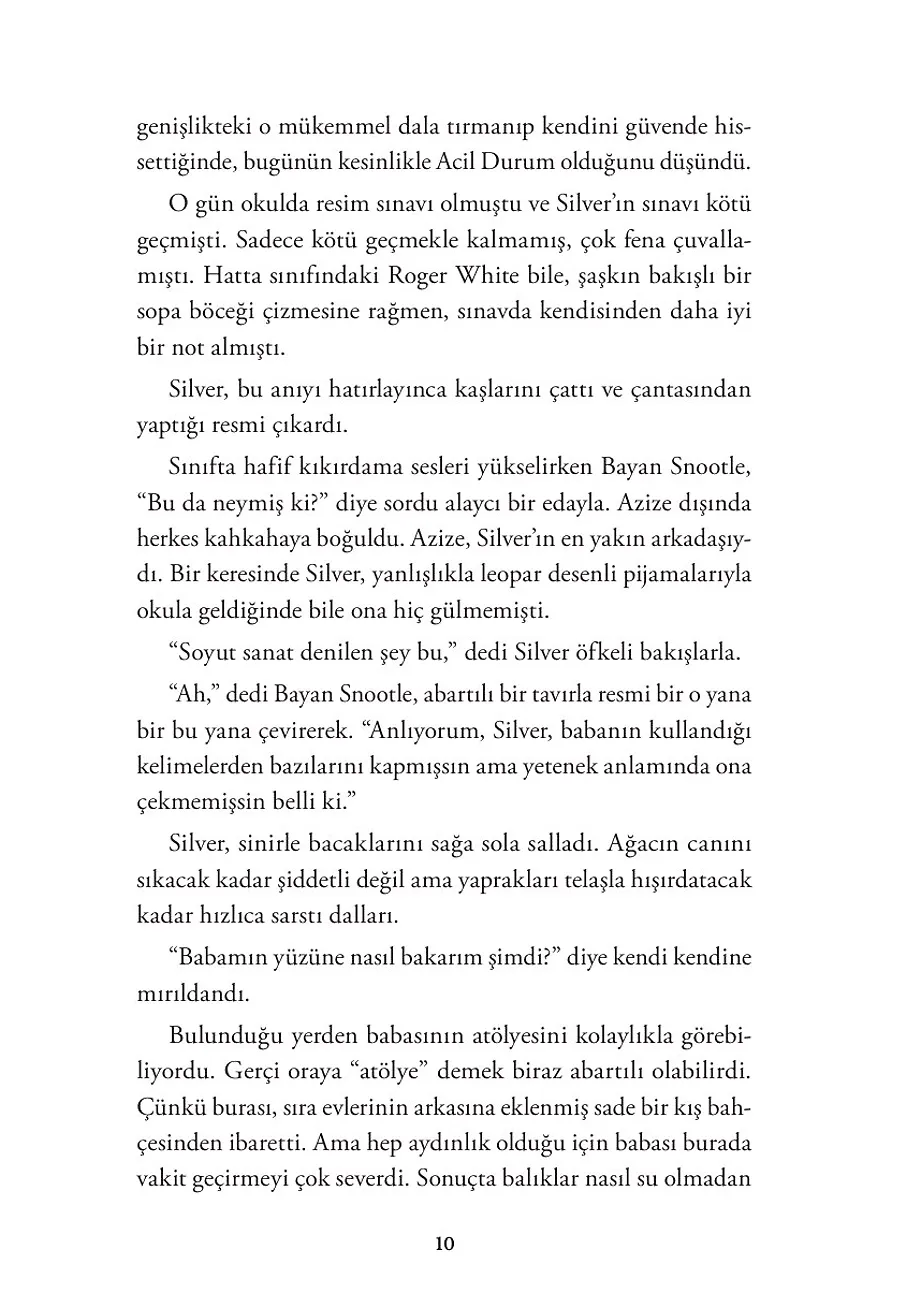 Kaplumbağa Dolunayı – Sayfa 2