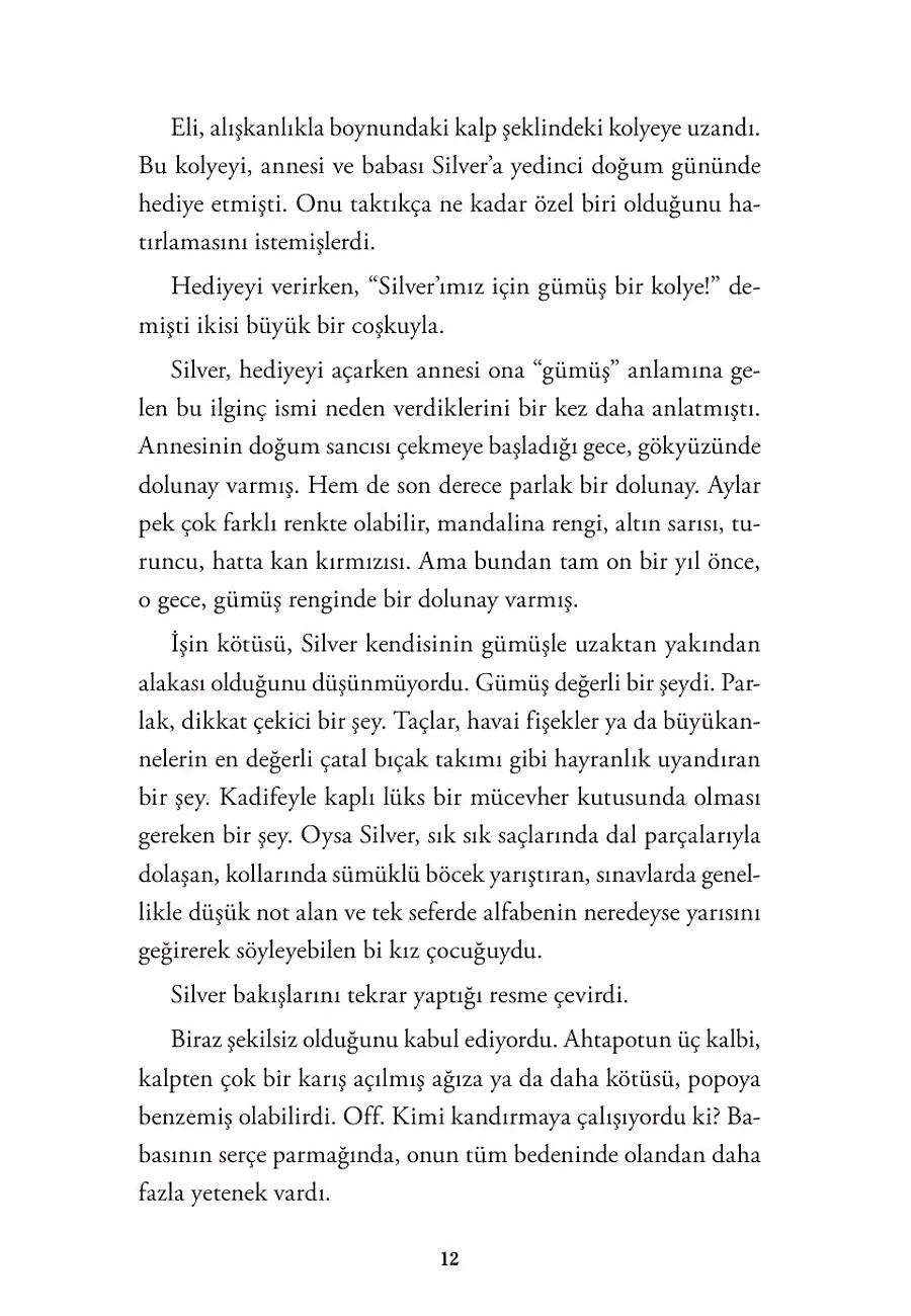 Kaplumbağa Dolunayı – Sayfa 4