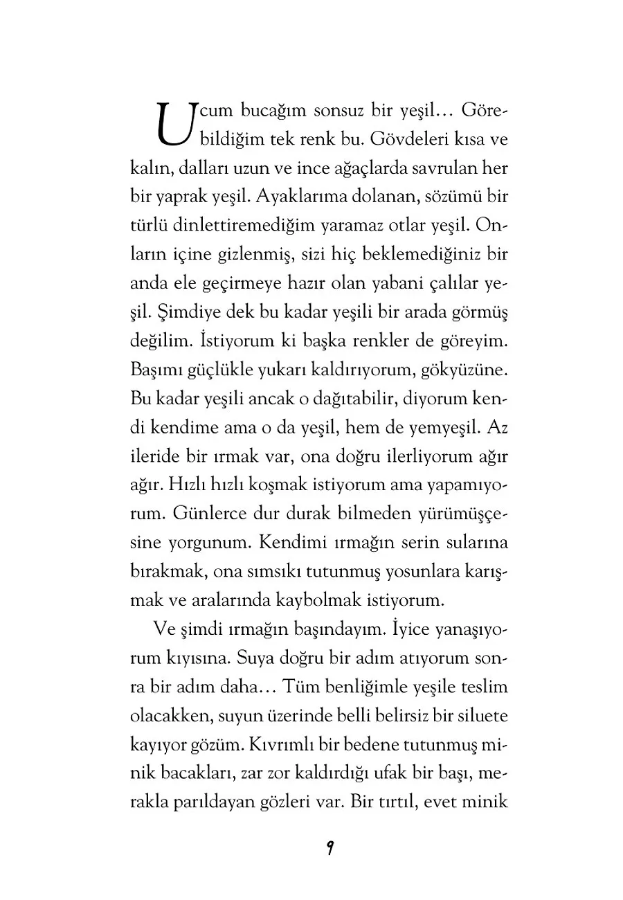 Kanatlarımı Bulduğum Gün – Sayfa 2