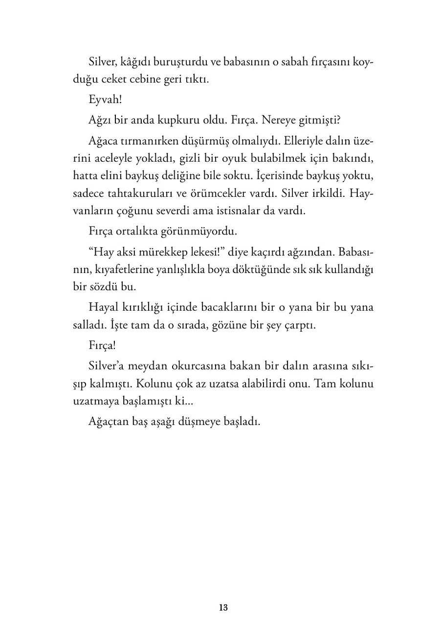 Kaplumbağa Dolunayı – Sayfa 5