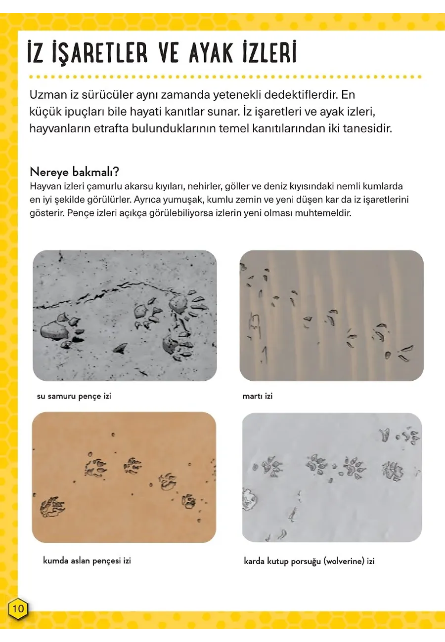 İz Sürme - Hayatta Kalma Becerileri El Kitabı 8 – Sayfa 1