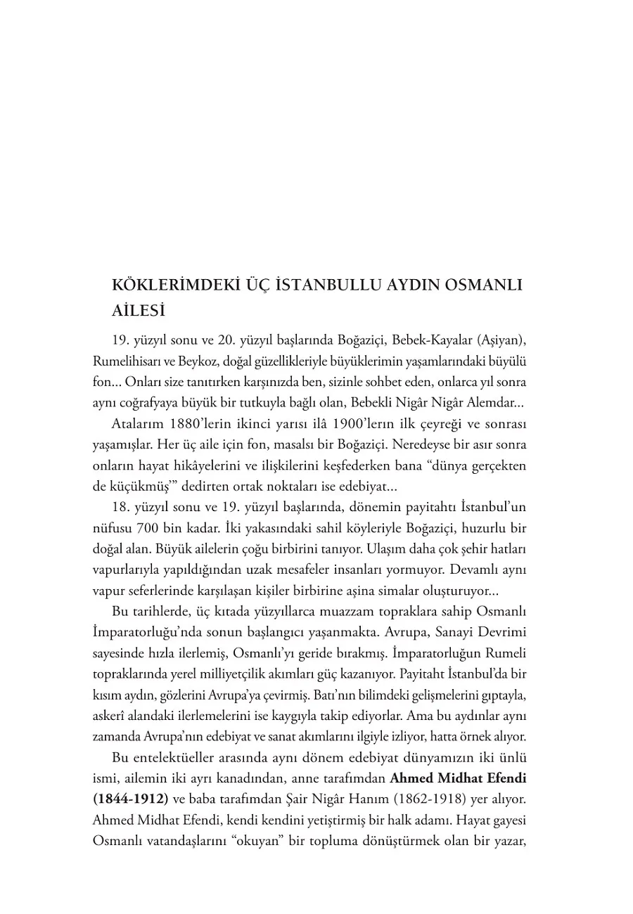 İstanbullu Üç Osmanlı Ailesi – Sayfa 2