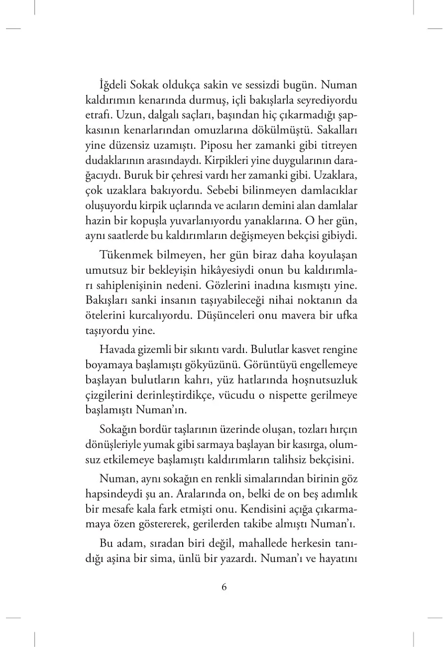 İstanbul Yüzlü Kadın – Sayfa 3