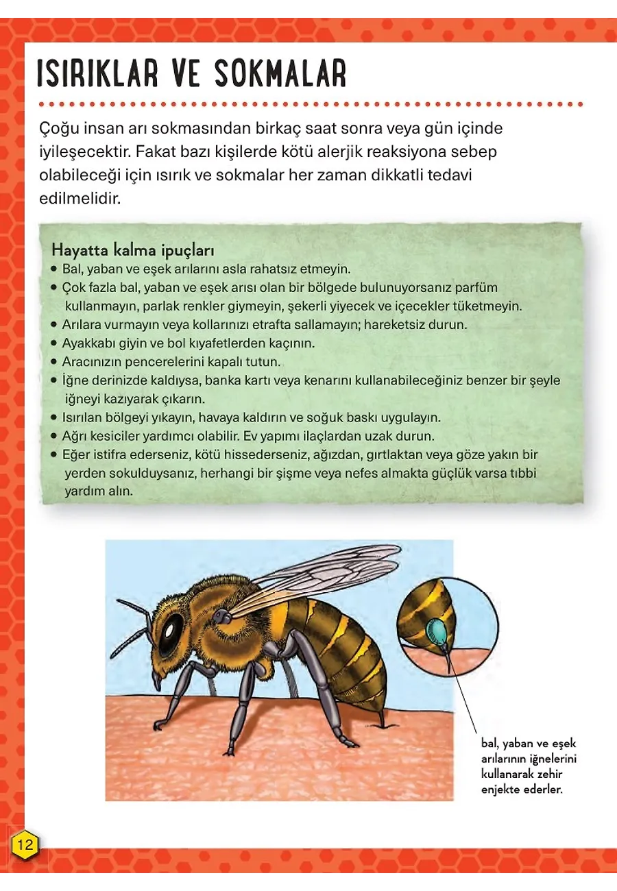 İlk Yardım - Hayatta Kalma Becerileri El Kitabı 3 – Sayfa 3