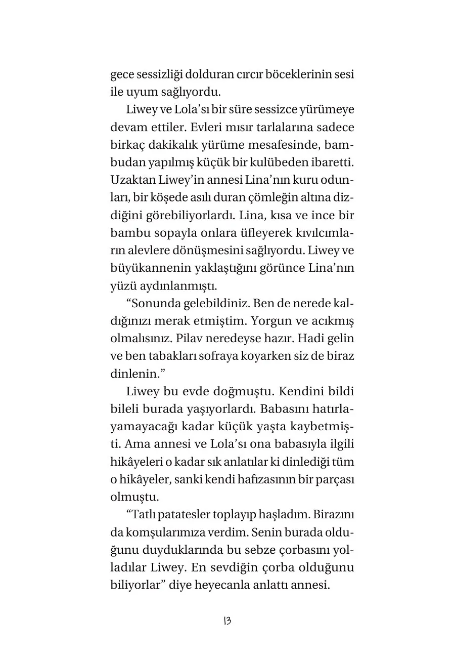 İki Küçük Su Ejderhası – Sayfa 5