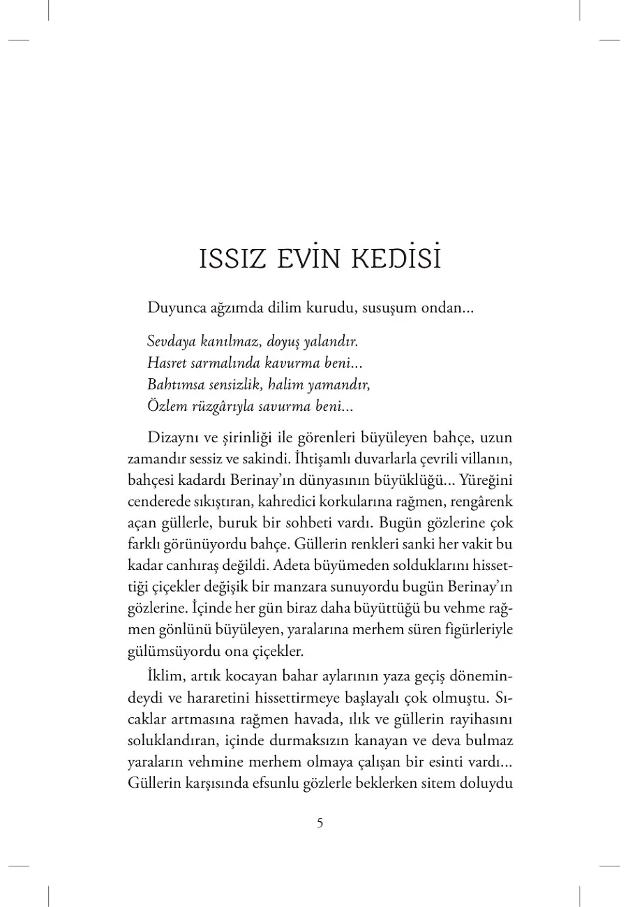 Issız Evin Kedisi – Sayfa 2